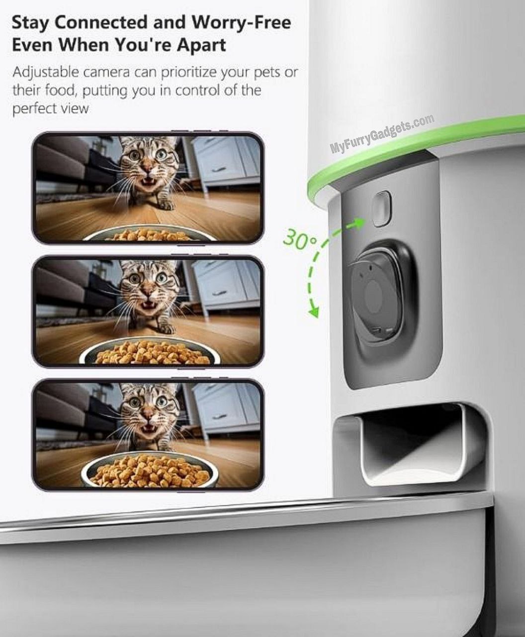 Automatic Pet Feeder