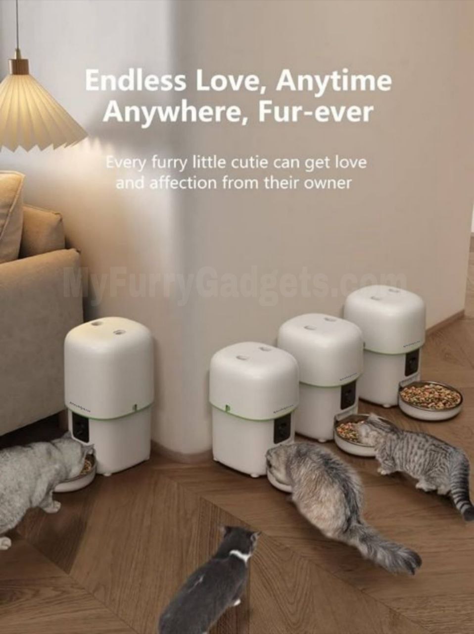 Automatic Pet Feeder