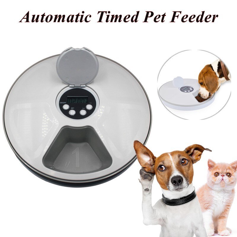 Pets Timing Six-grid Feeder