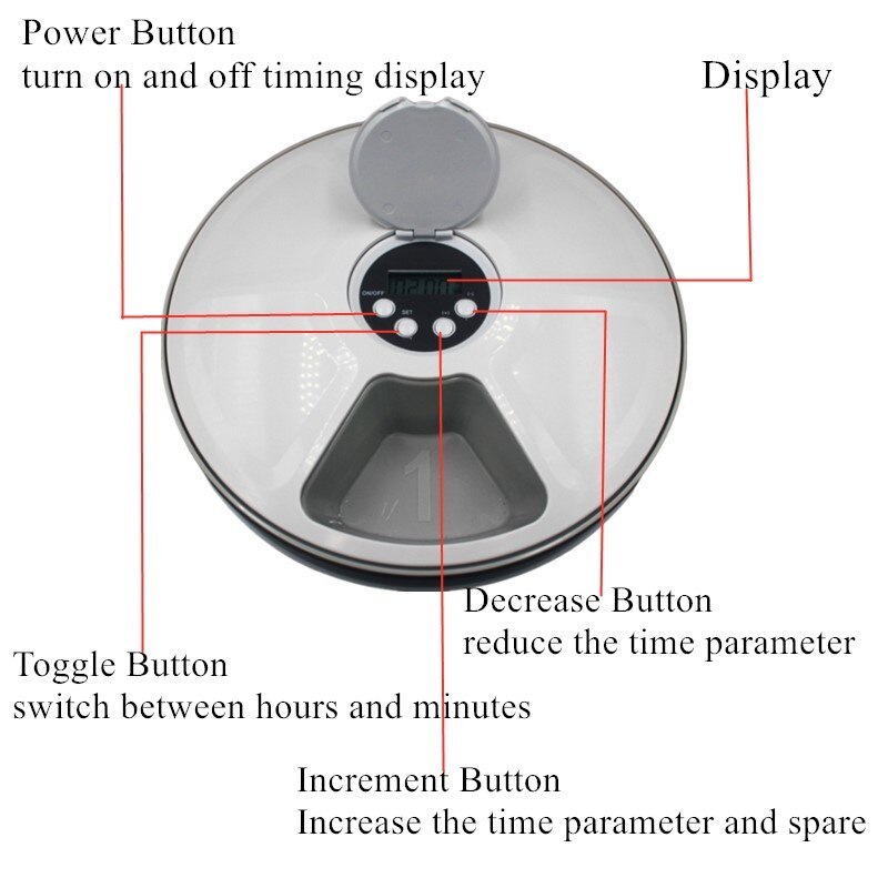 Pets Timing Six-grid Feeder