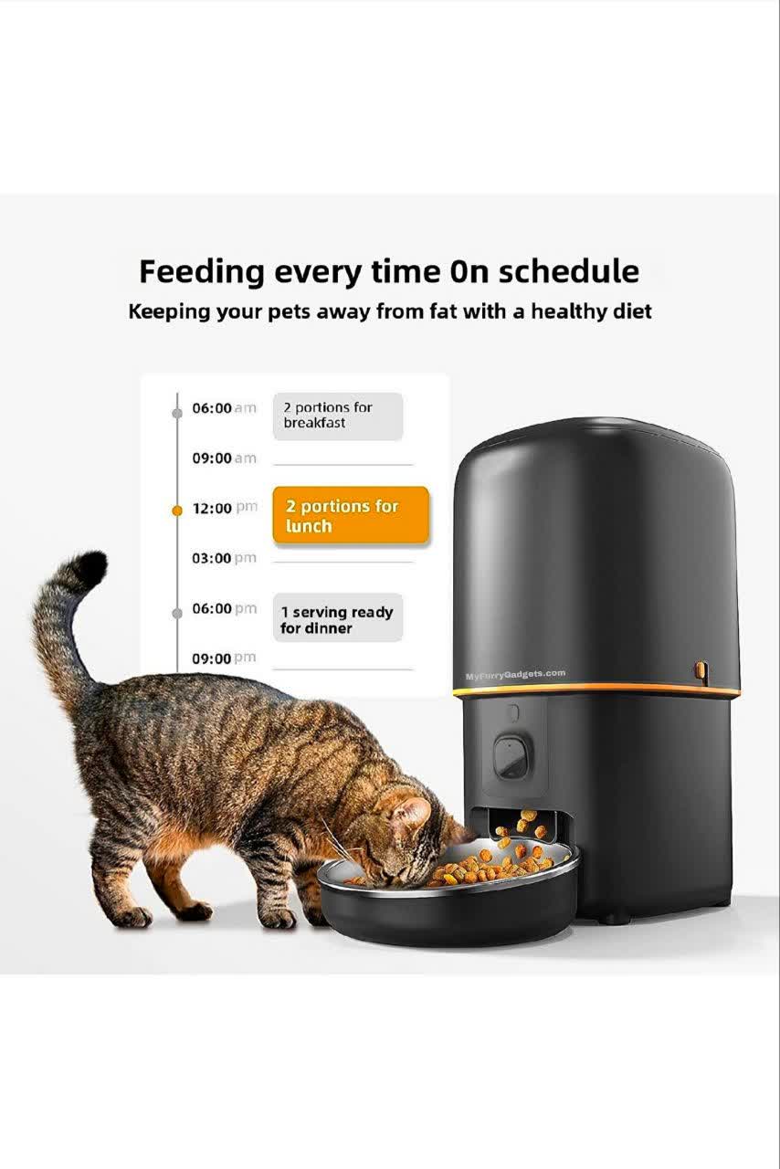 Automatic Pet Feeder