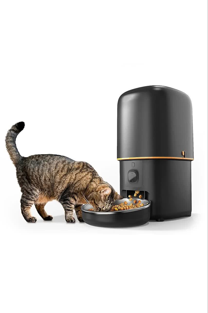 Automatic Pet Feeder