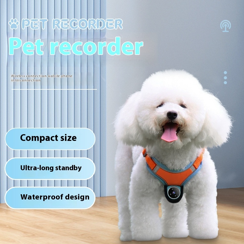 TrackCam Pro Collar