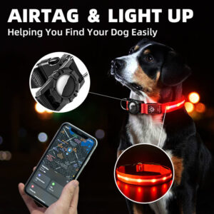 GlowGuard GPS Collar