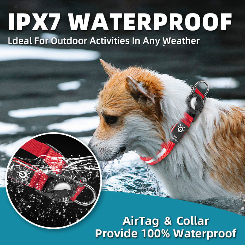 GlowGuard GPS Collar