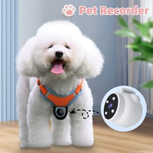 TrackCam Pro Collar